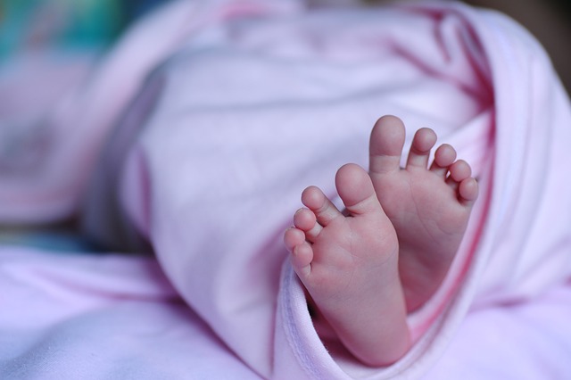 De ultieme wereld van baby speelplezier: speelgoed, rammelaars, gyms, speelmatten, interactieve speeltafels en muzikale activiteiten